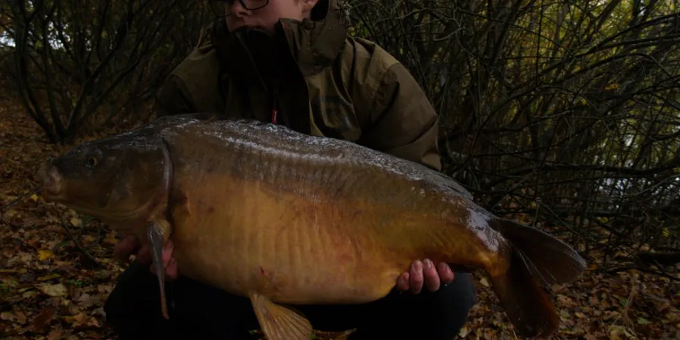 Podzimní toulky, část 2.