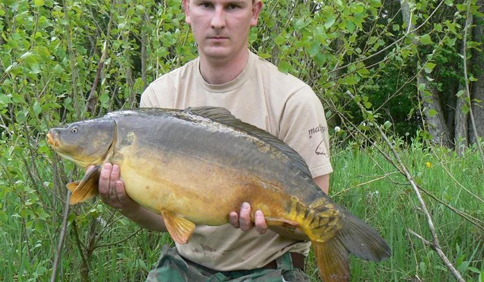 Lysci ze svazové pískovny