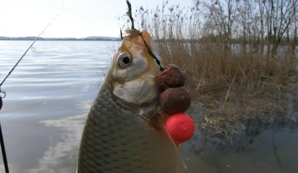 nezverejnovat, udelam jako report!!