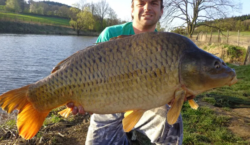 Kill Krill Atract aneb Díky Karle!!!