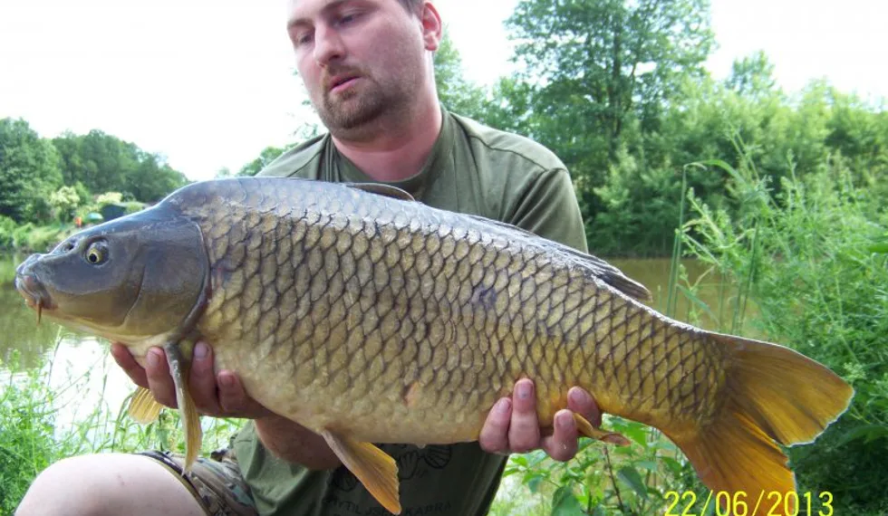 Perfektní koi pro Romana