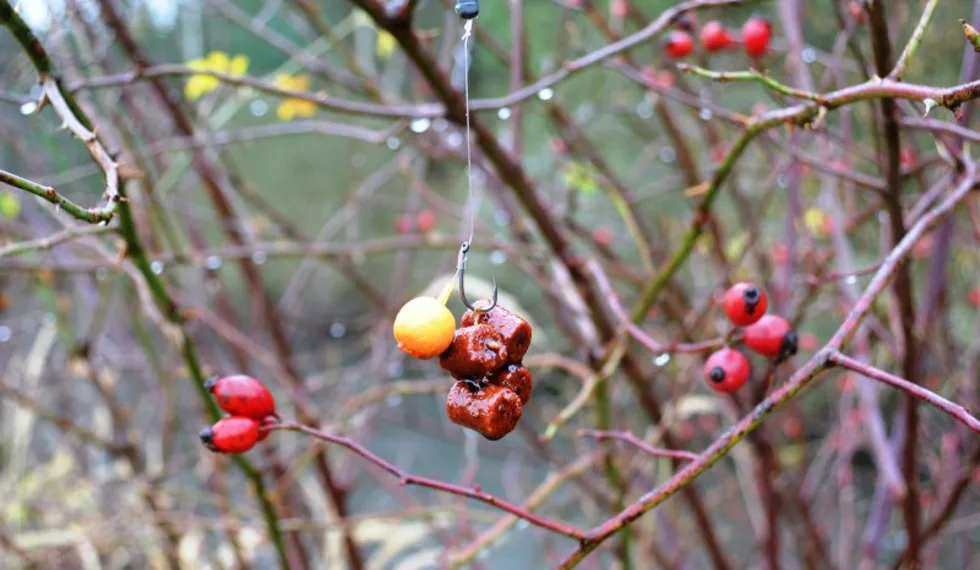 Když zima přichází