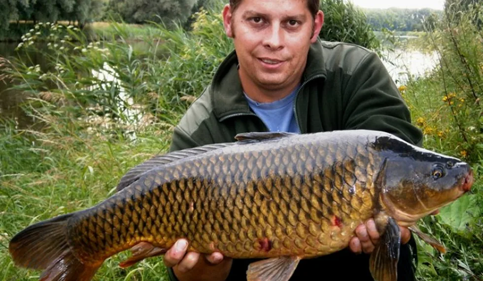 Ohlédnutí za rokem 2013