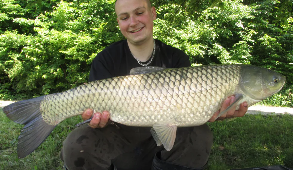 Jednodenní vycházka