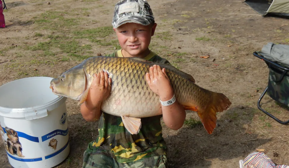 Peleta jako nástraha