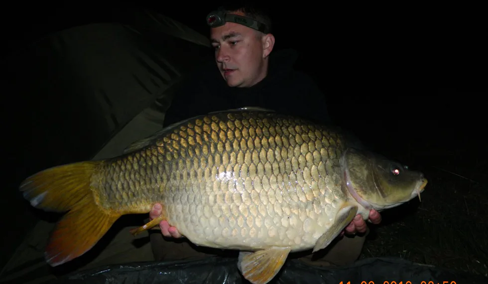 4h vycházka na řeku