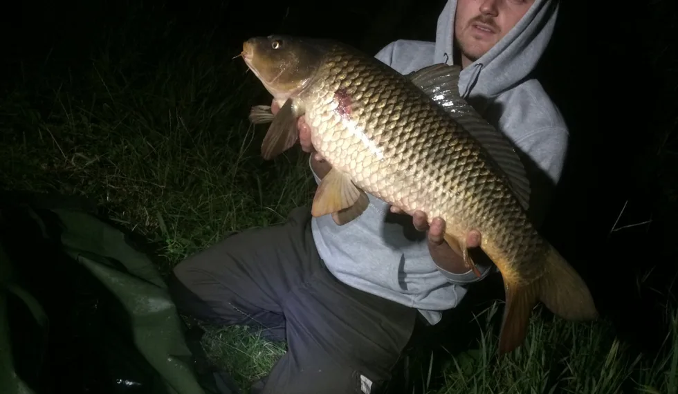 10 krátkých vycházek