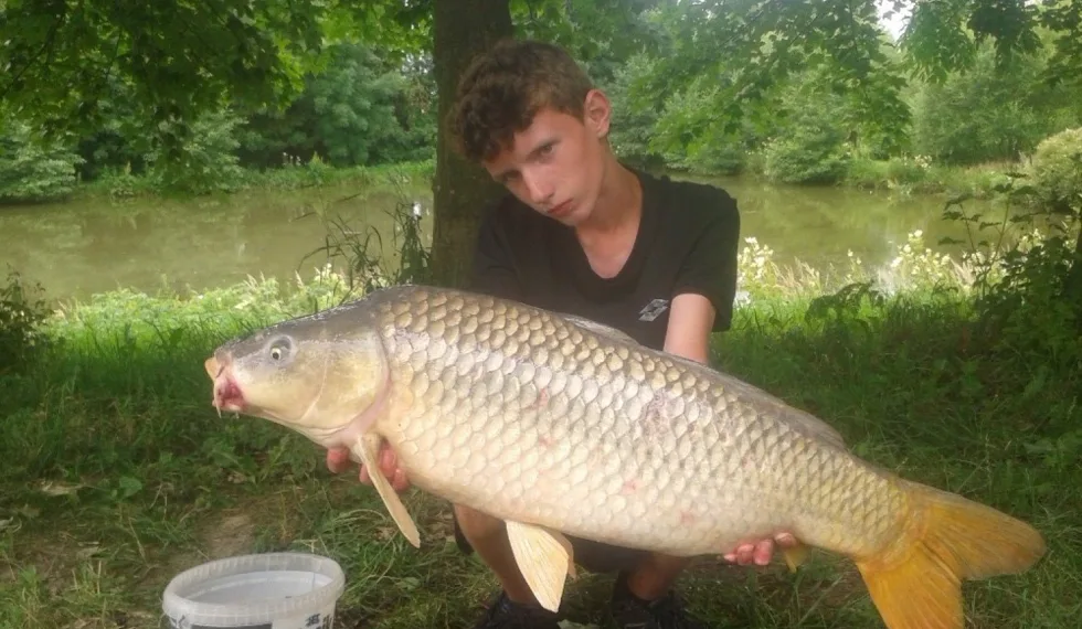 Jeseter na feederový prut