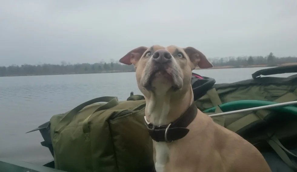 Gigantica a Devill v akci