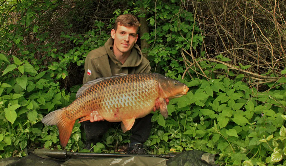 Další ze série vltavských kaprů