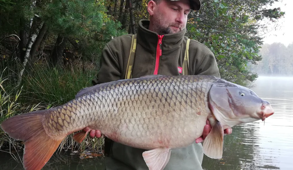 Gigantický crititalský OSOBÁK!!! 105 cm, 30,1 kg!!!