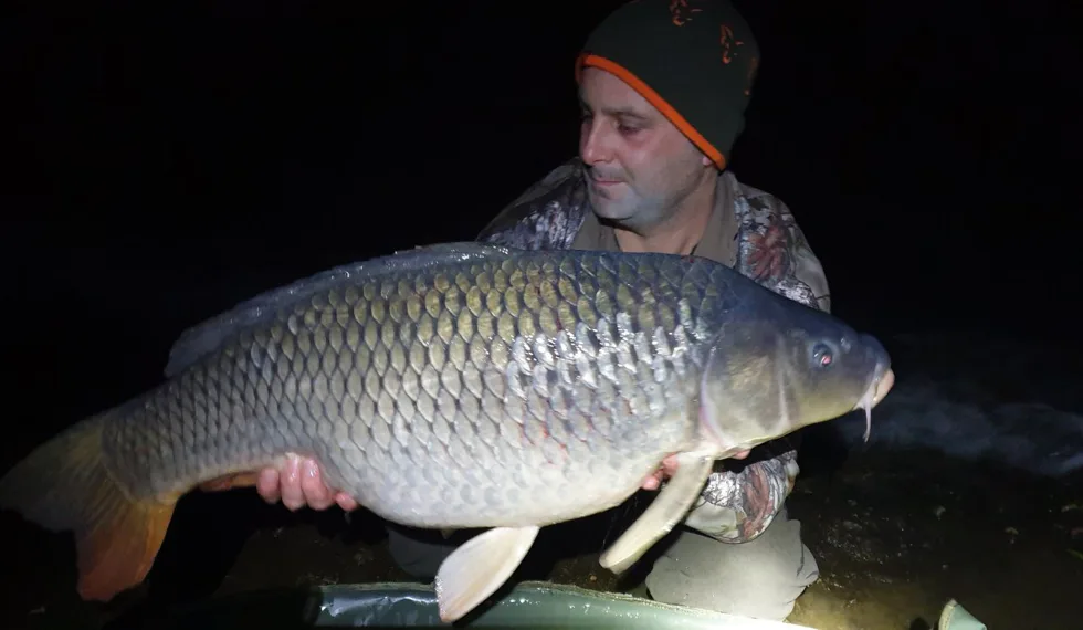 D5 - Devill Krill a Gigantica