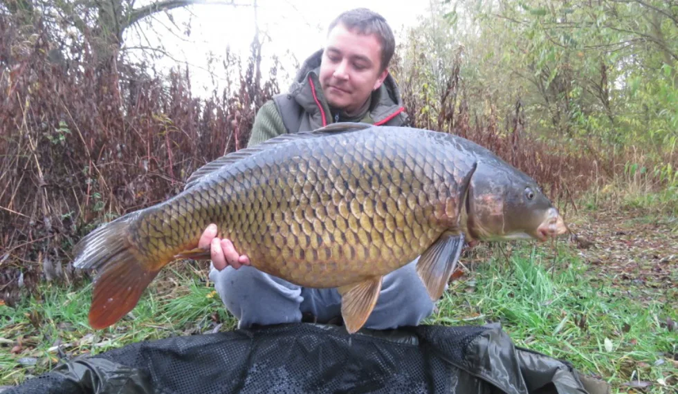 Poslední víkend v listopadu