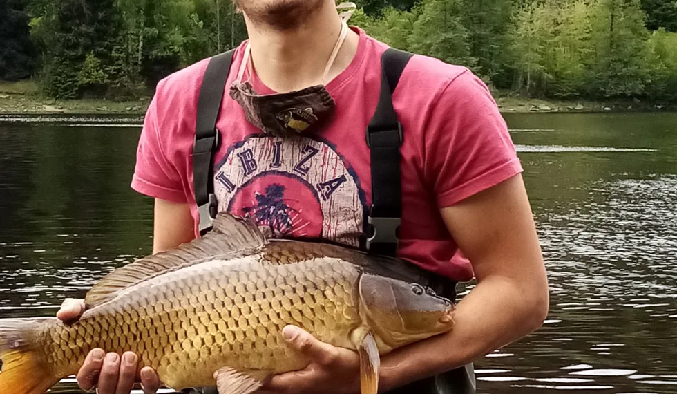 Davidův životní kapr