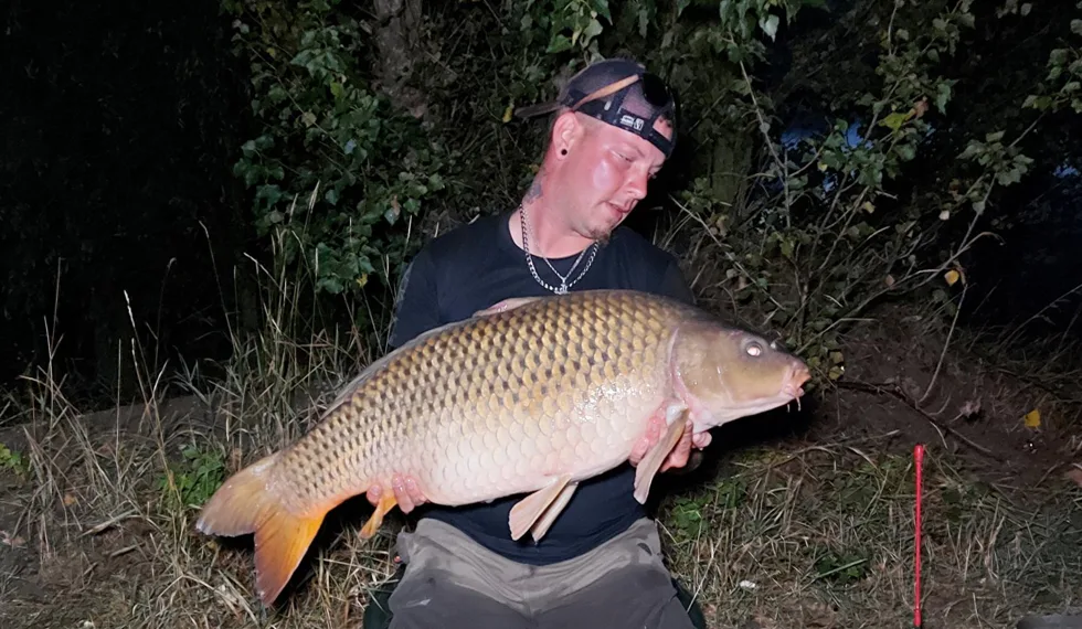 Kill Krill opět boduje