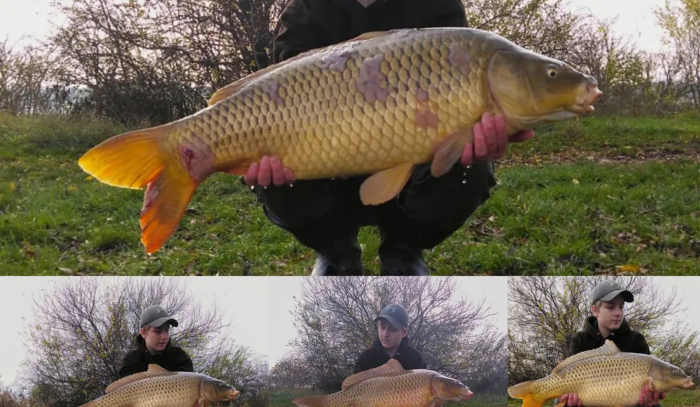 Krátká vycházka na svazovou pískovnu