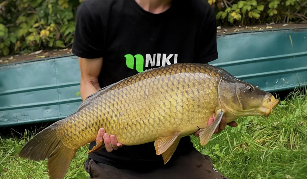 Krásná voda uprostřed lesa