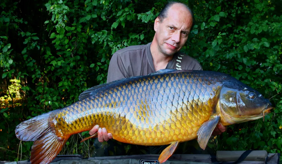 Sezóna s produkty NIKL