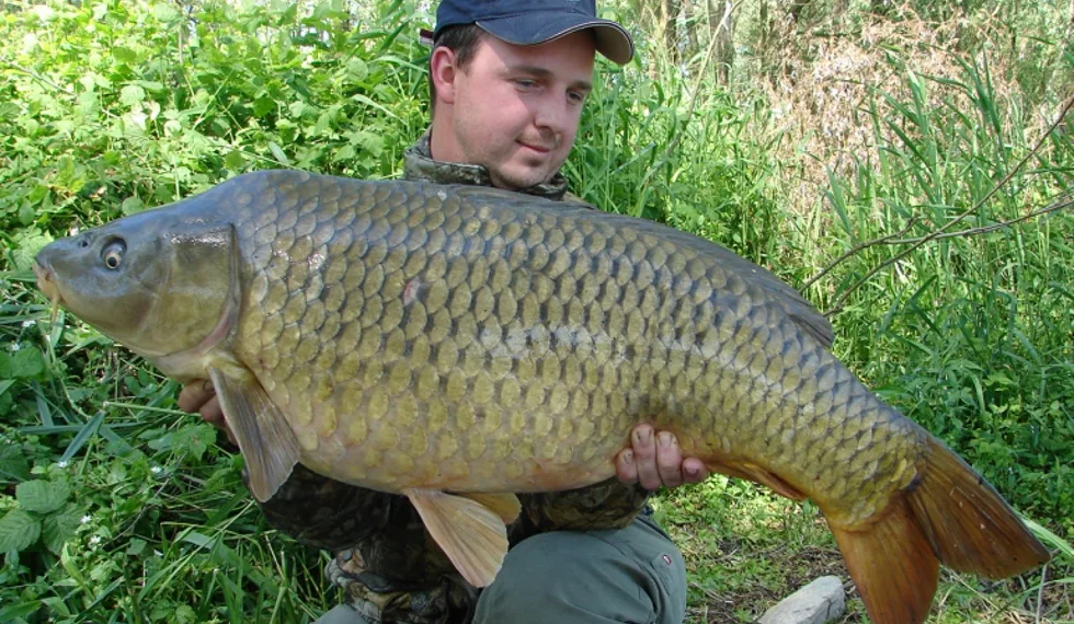 Stella team boduje na Pádu
