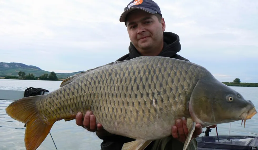 Mušovská vydra opět v akci!