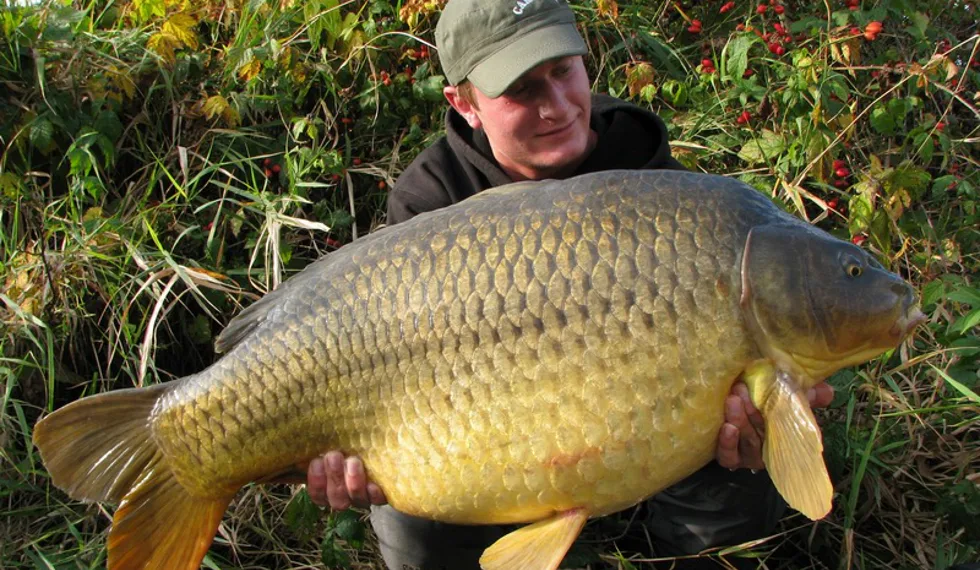 Vybarvený podzim na pískovně