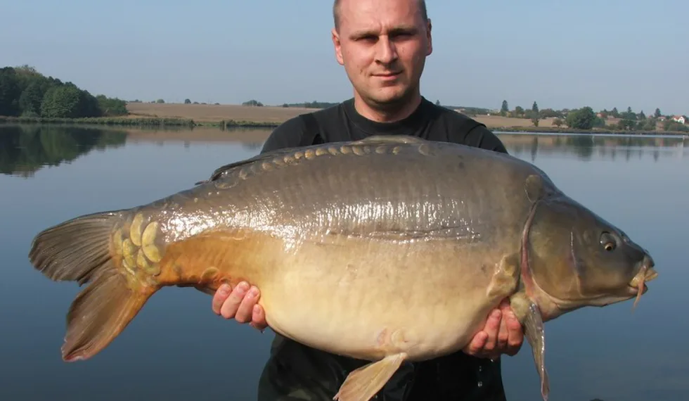 Kapří půst na Merenye