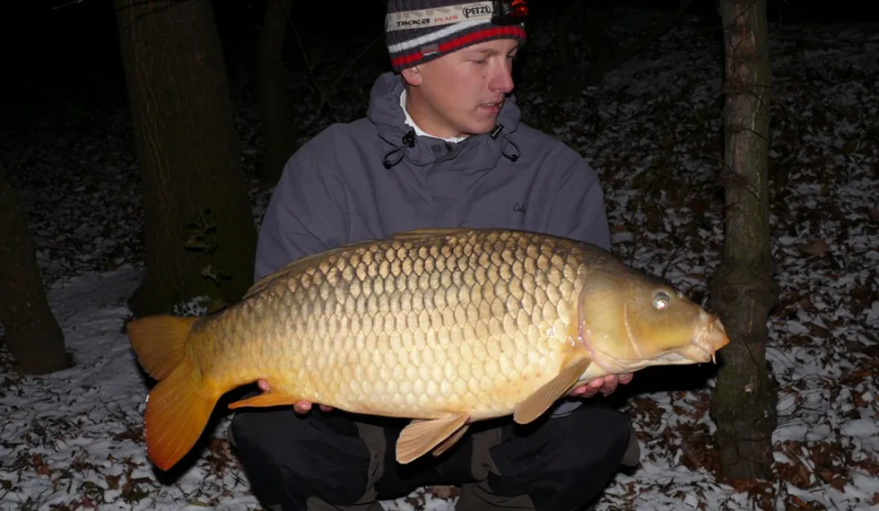 První kapři na sněhu!