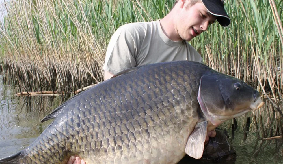 Šupinaté monstrum! 