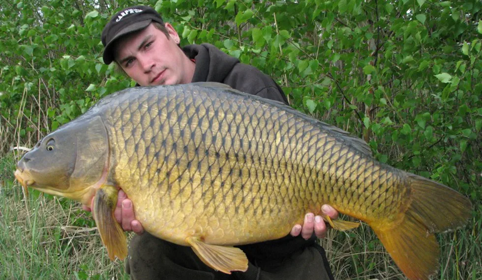 Carpkiller a jeho skvělá série... 