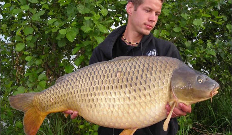 Rychlovky na Štítě