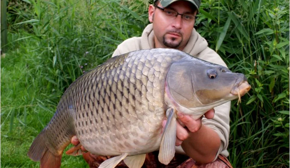 Když kapři neberou