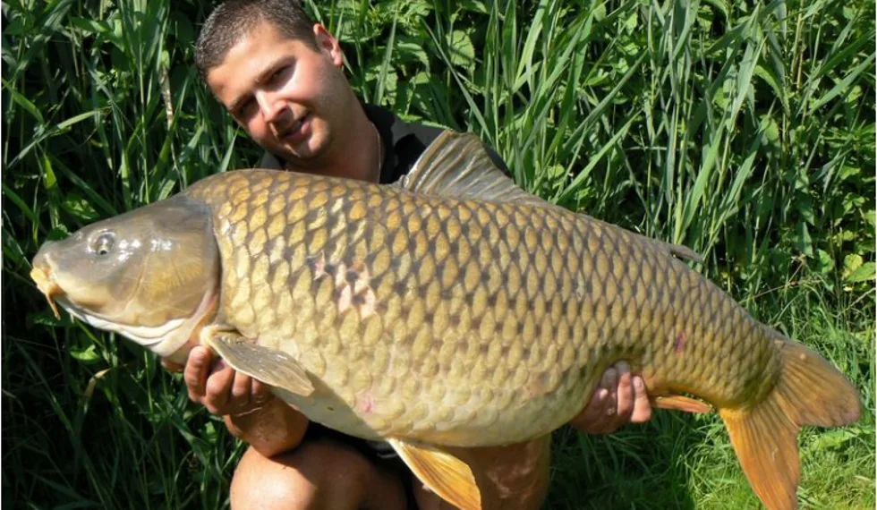 Shimanskyho supertajná vnadící strategie odhalena!