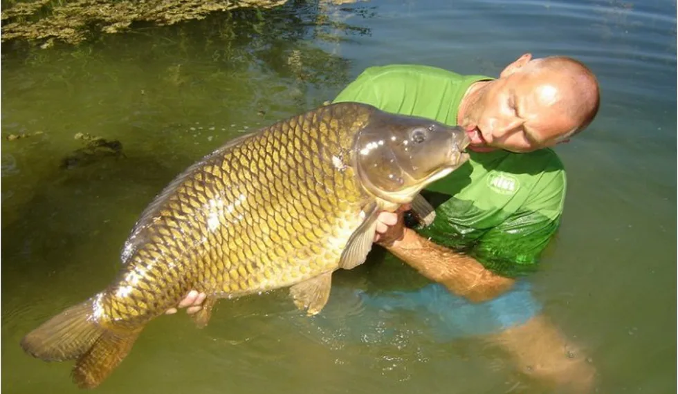 Populární Maďarský revír