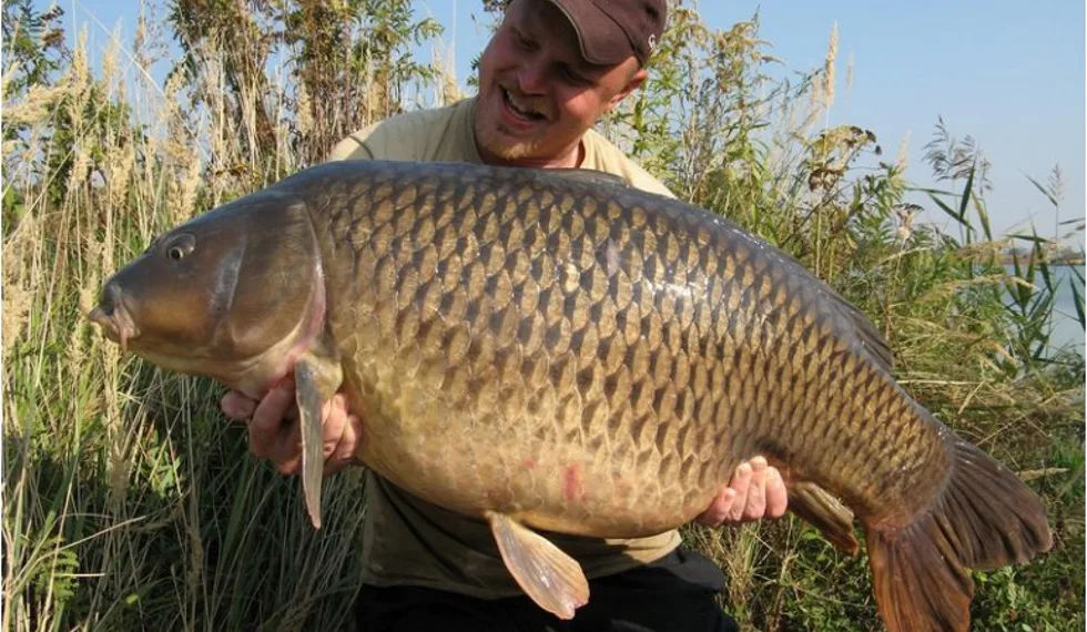 Imperialové šílenství