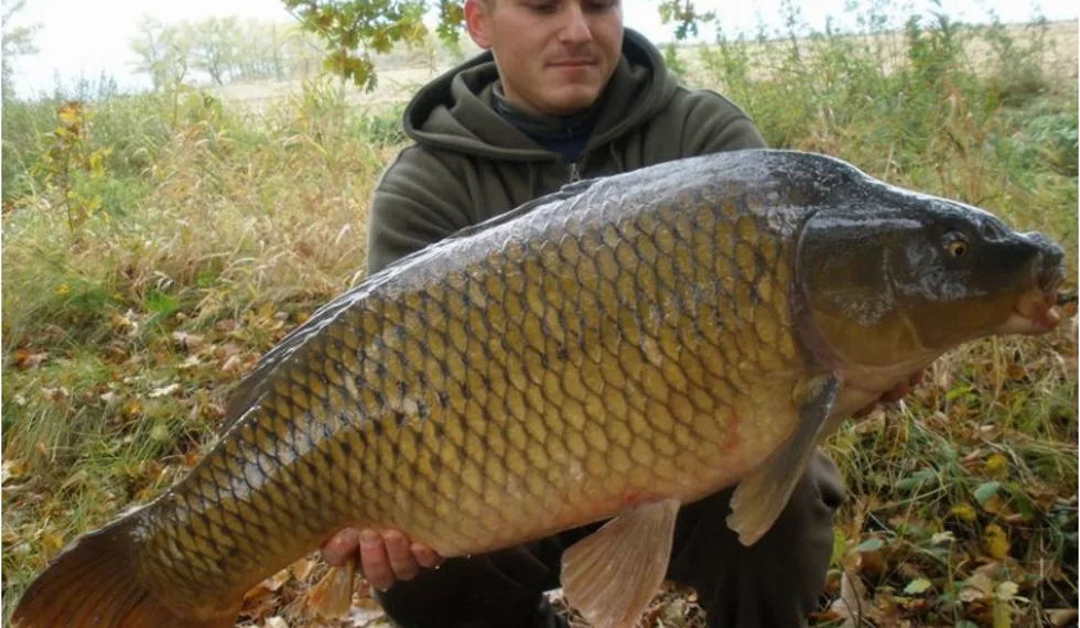 Sváteční lov a šupinatý osobák