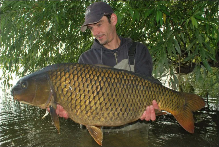 Láďovy kapří hody pokračují