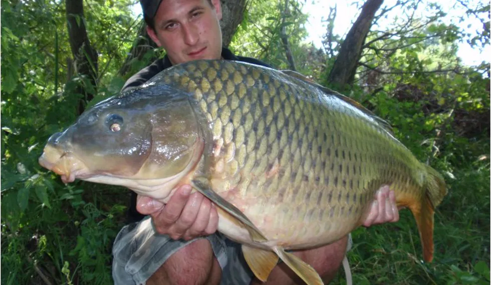 Tomášova povedená plavba