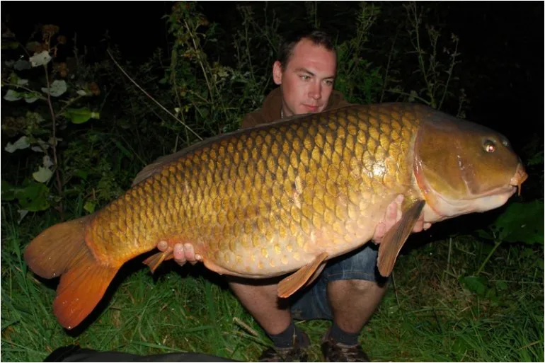 Carpkillerovy krátké akce