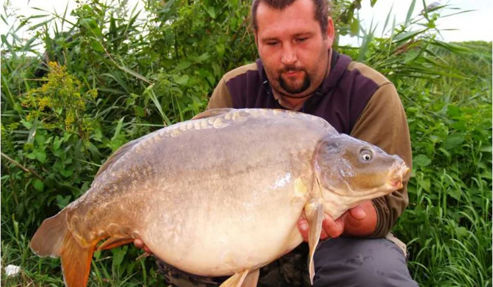 Braňův tanec se Selkou