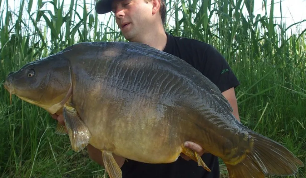 Svazovka jak se patří