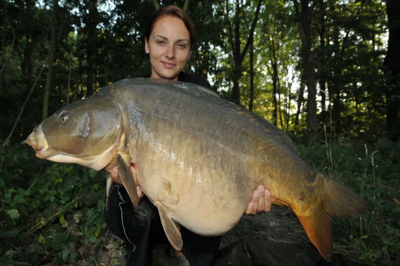 Kačka kouzlí Kill Krillem