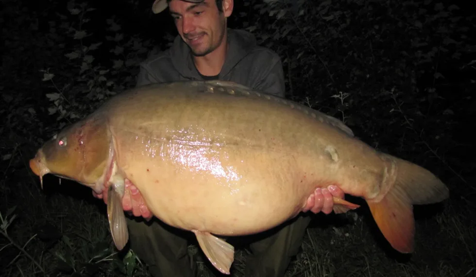 Láďova říční sklizeň