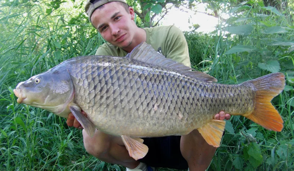 Krátká výprava do říše snů...