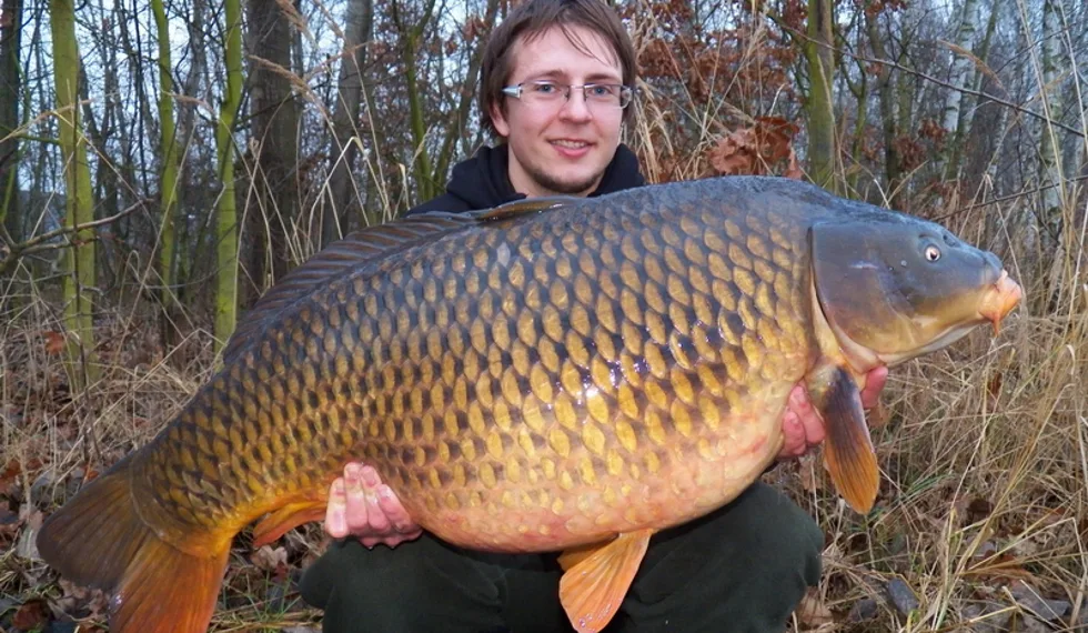 Mildovo zimní zahájení