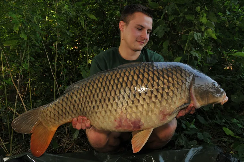 Dva měsíce poté...