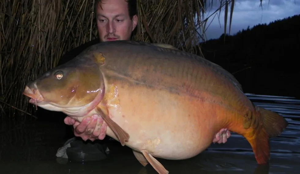 Na té švestce něco bude !