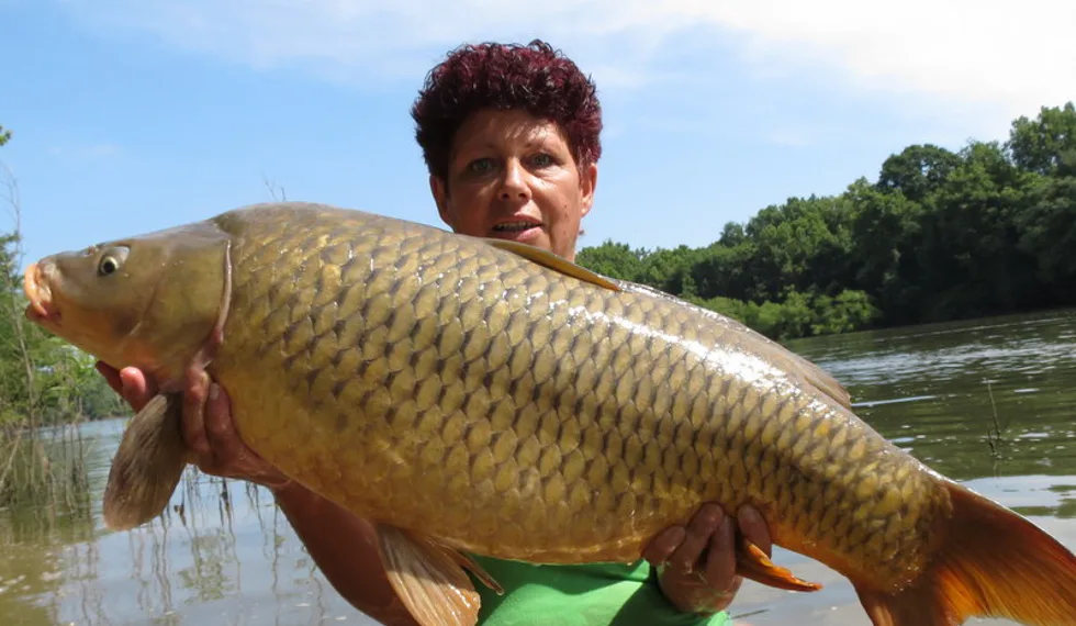 Vstříc kaprům mezi pavouky, hady a aligátory