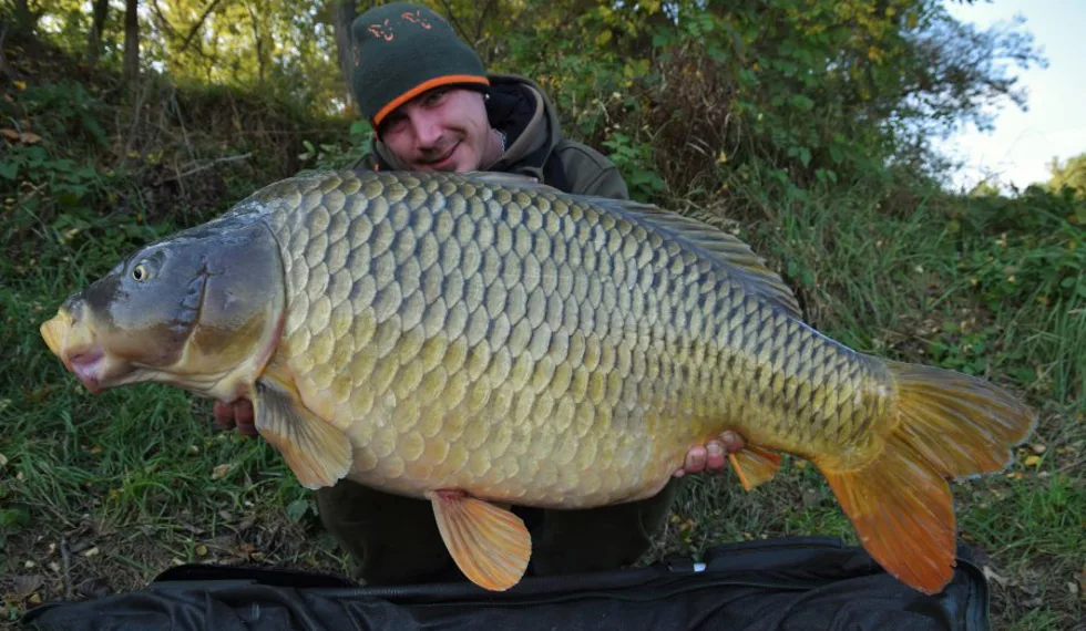 Carpkillerova podzimní sklizeň