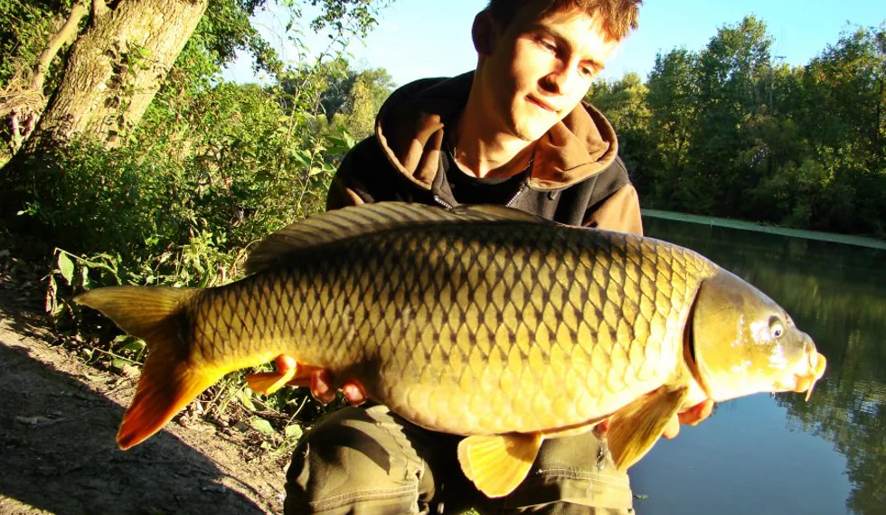 Úlomky z Malého dunaja