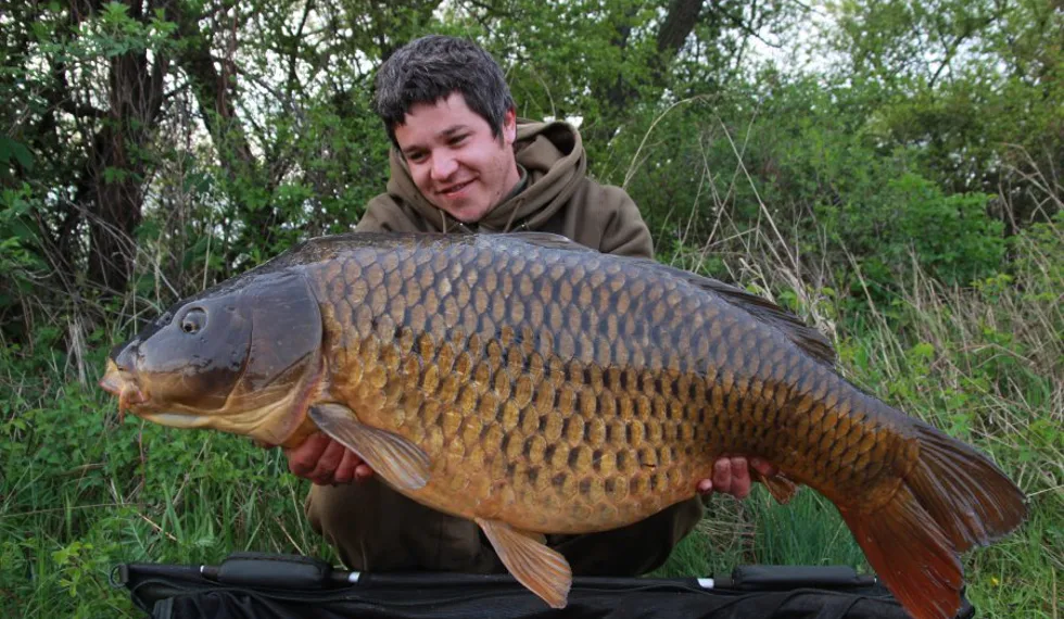 Monstrum pro Scopexe!